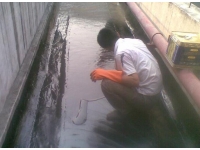 屋頂漏水維修，包工包料多少錢一平方？專業(yè)防水師傅來解答