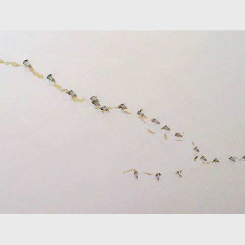 深圳業(yè)主必看：內(nèi)墻面滲水怎么處理最好？老工長的實(shí)用方案