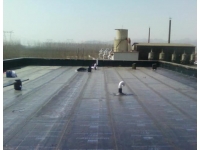 深圳新建住宅衛(wèi)生間集體滲漏？這樣做防水，順利交房無煩惱